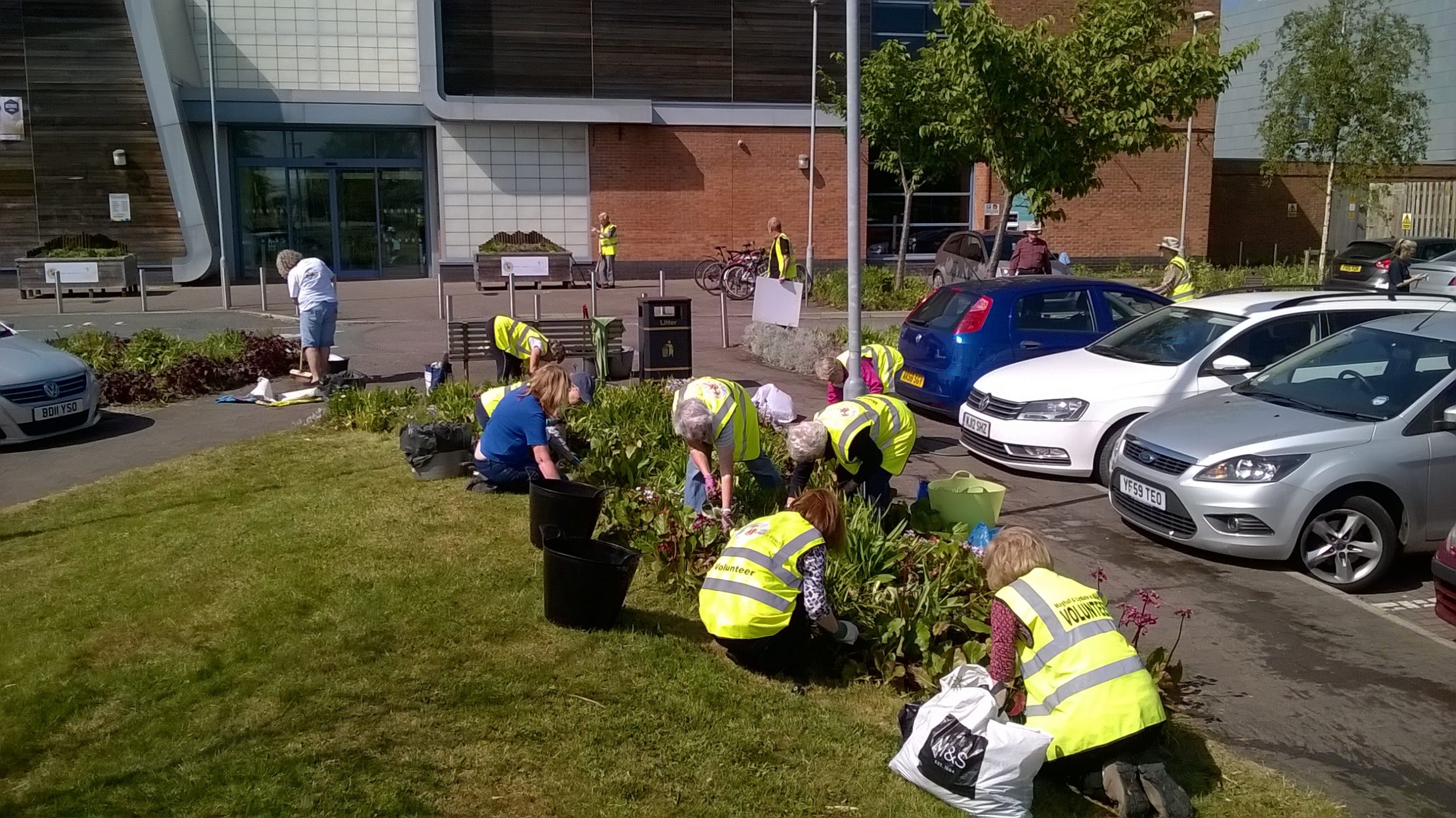 Maghull In Bloom